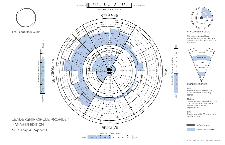 The Leadership Circle Profile